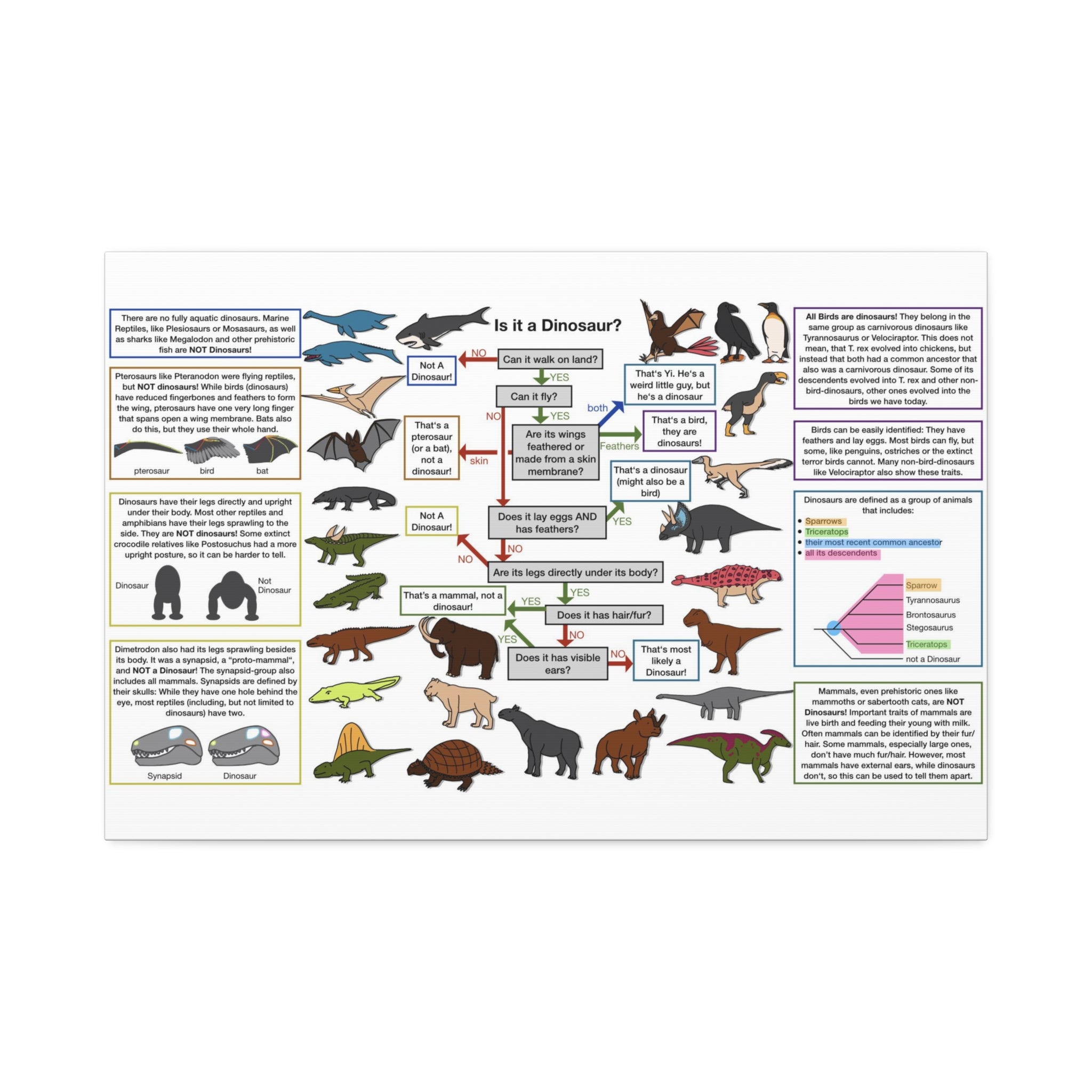 Is It a Dinosaur Poster, Dinosaur Identification Chart, Educational Science Wall Art Canvas Print
