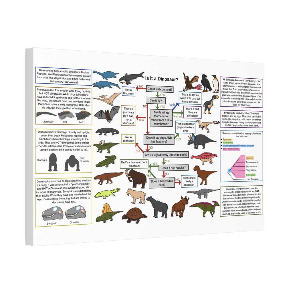 Is It a Dinosaur Poster, Dinosaur Identification Chart, Educational Science Wall Art Canvas Print