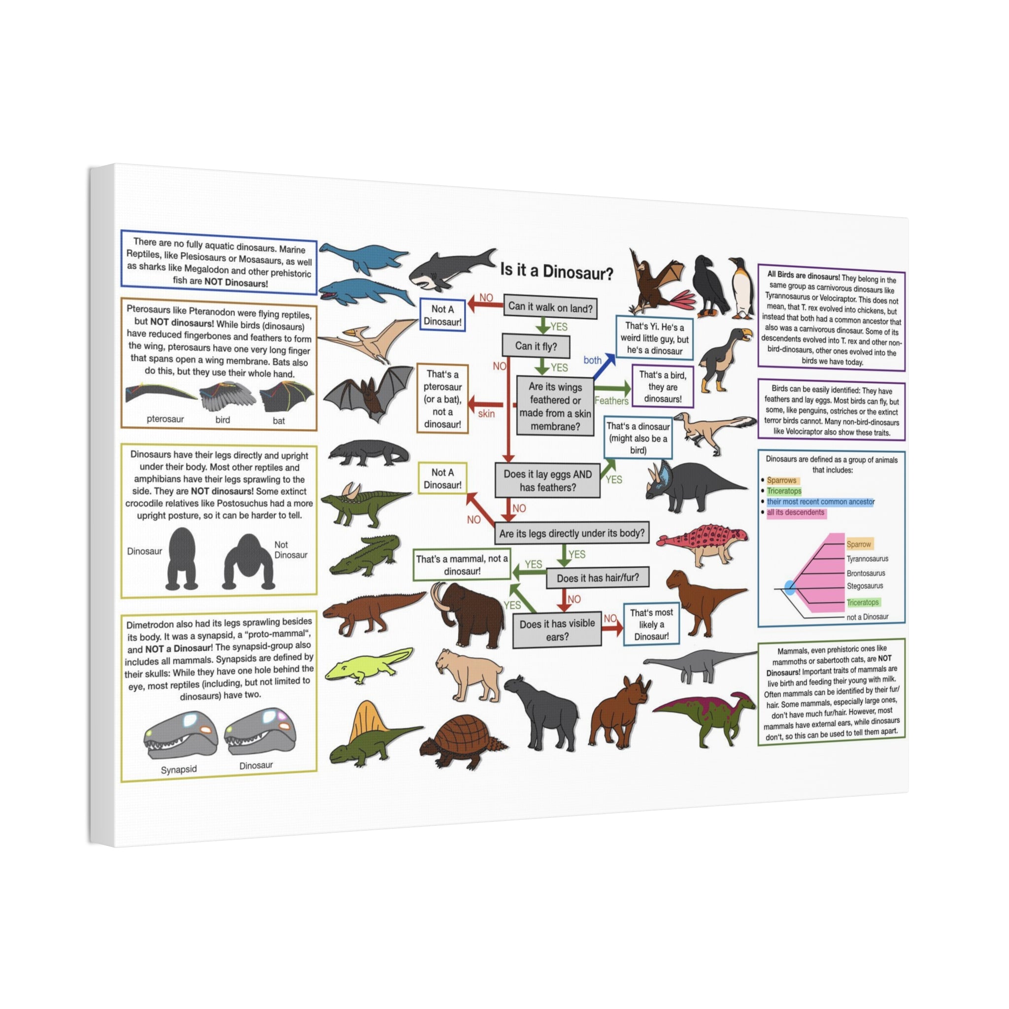 Is It a Dinosaur Poster, Dinosaur Identification Chart, Educational Science Wall Art Canvas Print