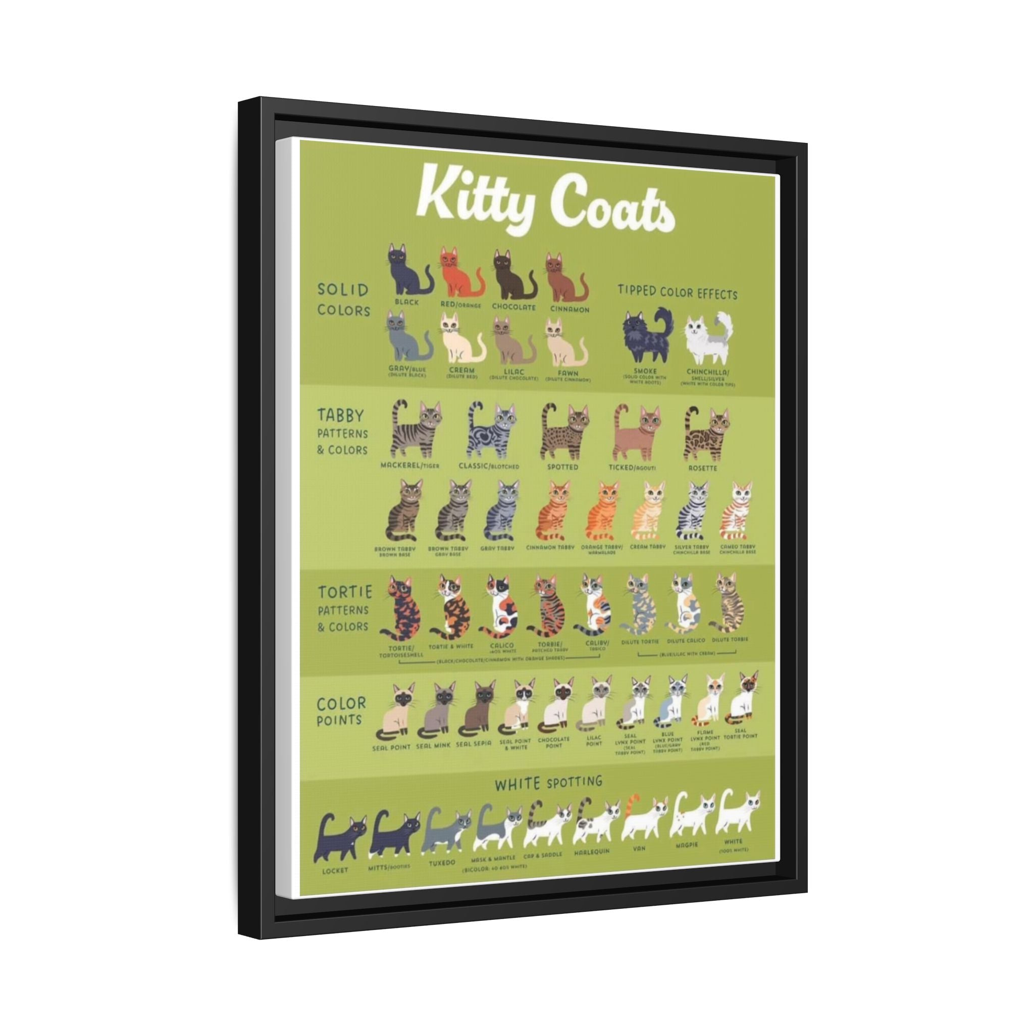Kitty Coats Poster, Cat Coat Colors and Patterns Chart, Feline Genetics Guide, Cat Markings Educational Canvas Print