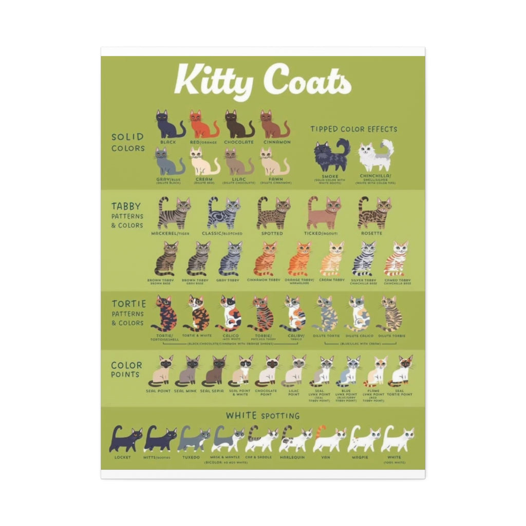 Kitty Coats Poster, Cat Coat Colors and Patterns Chart, Feline Genetics Guide, Cat Markings Educational Canvas Print
