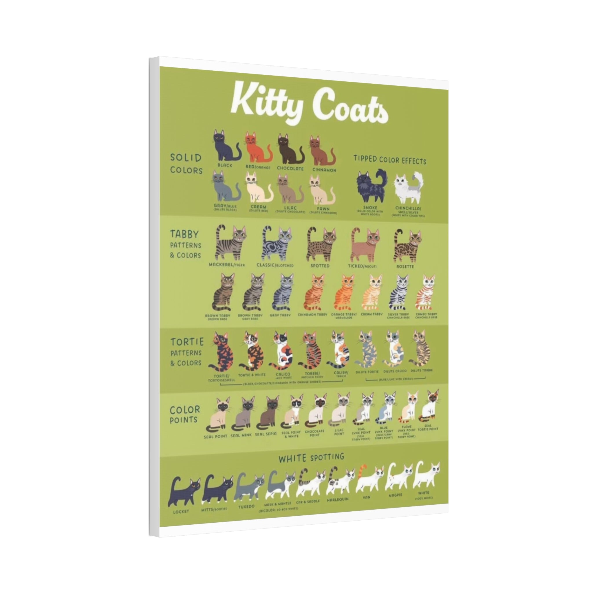 Kitty Coats Poster, Cat Coat Colors and Patterns Chart, Feline Genetics Guide, Cat Markings Educational Canvas Print