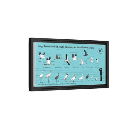 Large Water Birds Of North America Poster, Water Bird Identification Guide Horizontal Poster