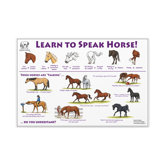 Learn To Speak Horse Poster, Equine Behavior Guide Horizontal Poster