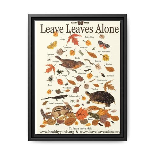 Leave Leaves Alone Poster, Healthy Yards Nature Guide Vertical Poster