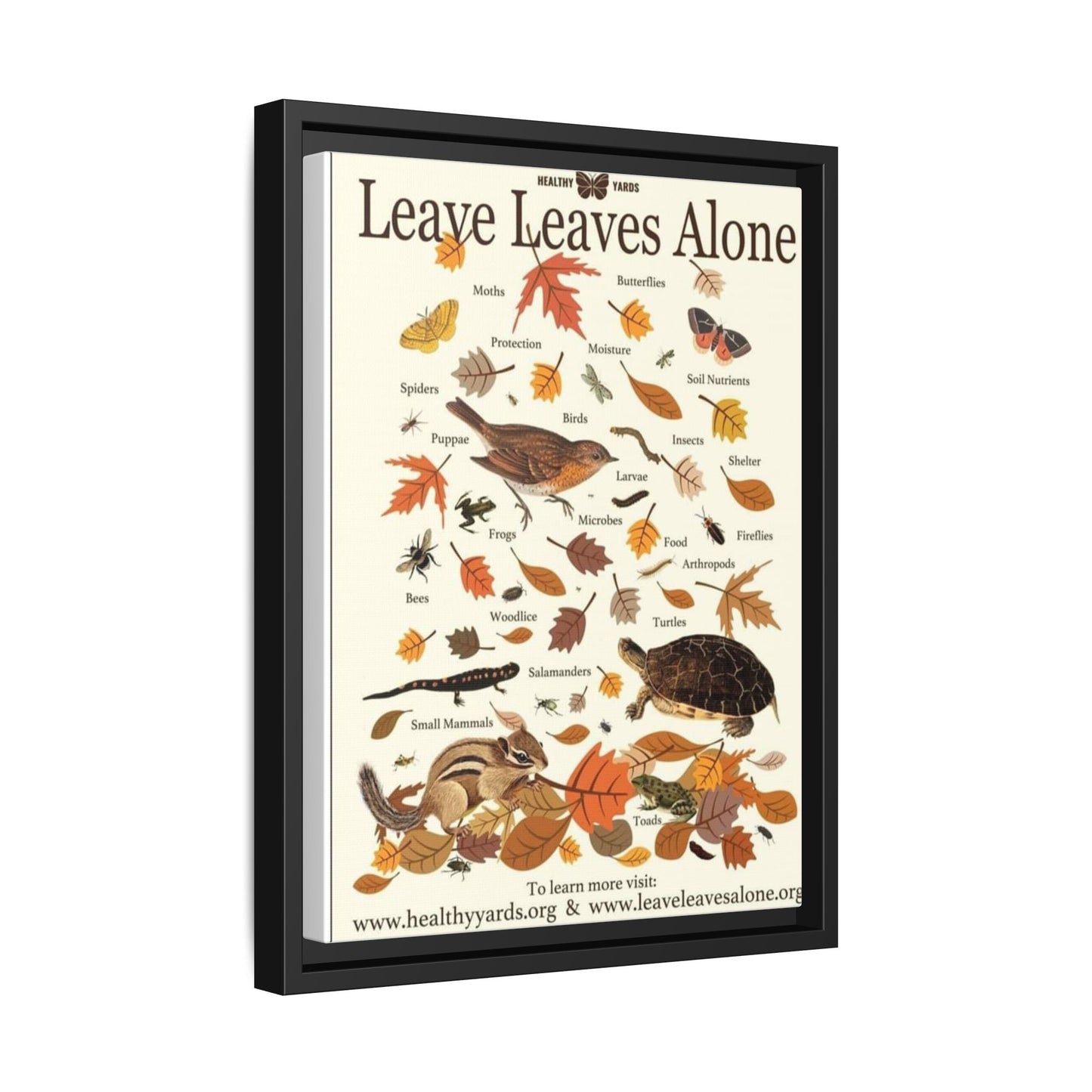 Leave Leaves Alone Poster, Healthy Yards Nature Guide Vertical Poster