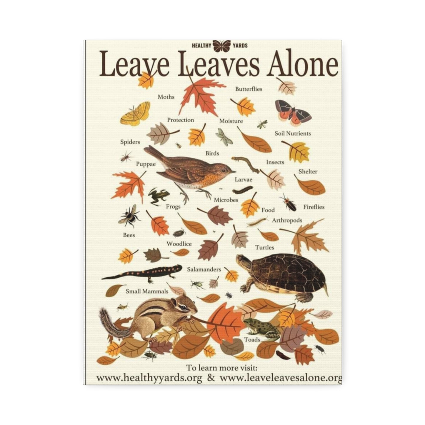 Leave Leaves Alone Poster, Healthy Yards Nature Guide Vertical Poster