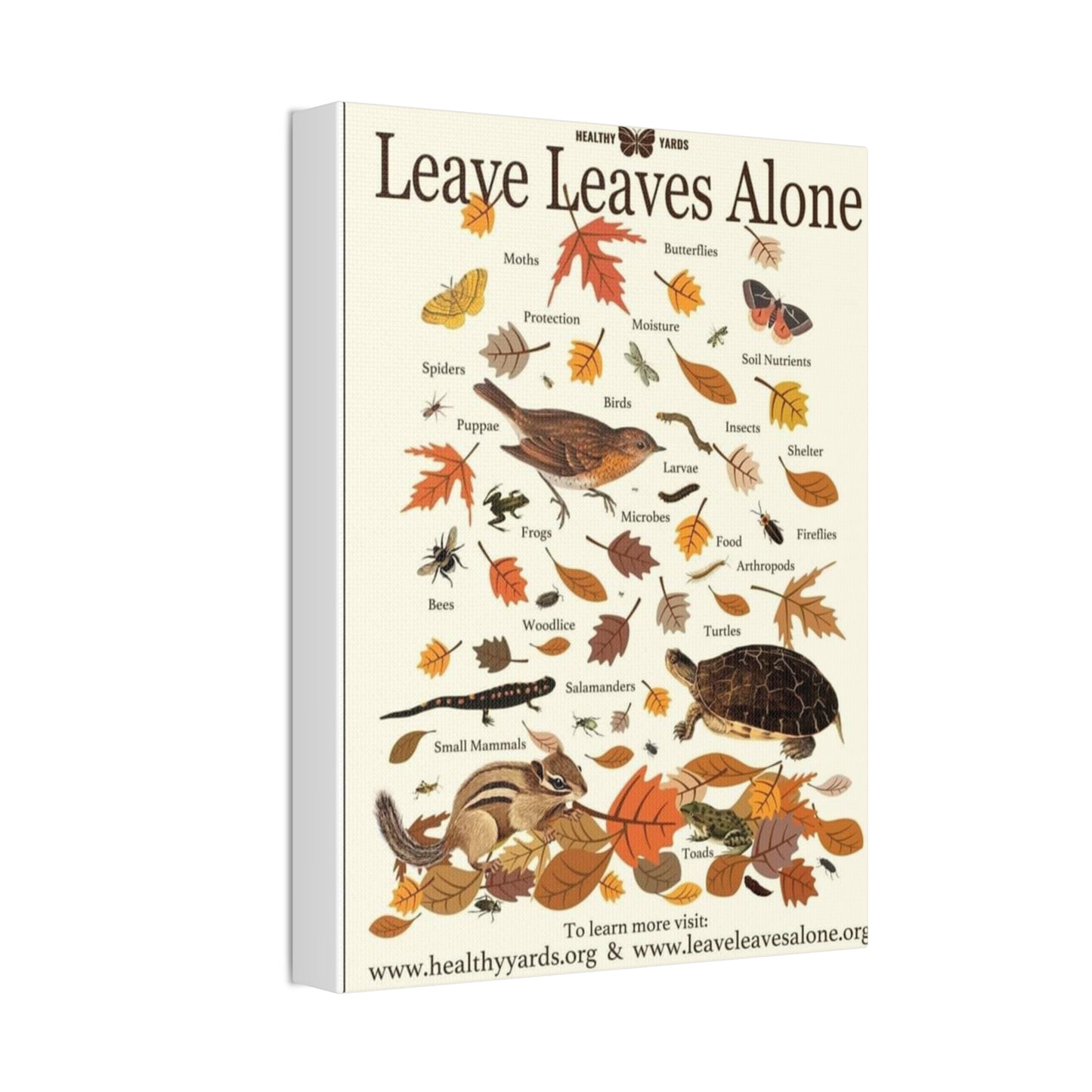 Leave Leaves Alone Poster, Healthy Yards Nature Guide Vertical Poster