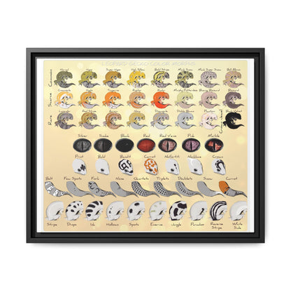 Leopard Gecko Color Morphs Reference Sheet, Leopard Gecko Morphs Guide Horizontal Poster