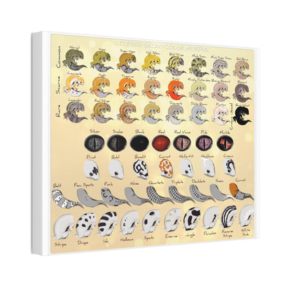 Leopard Gecko Color Morphs Reference Sheet, Leopard Gecko Morphs Guide Horizontal Poster