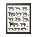 Leopards and Jaguars Around the World Poster, Leopard Subspecies Comparison Chart, Jaguar and Clouded Leopard Identification Guide, Wildlife Educational Canvas Print