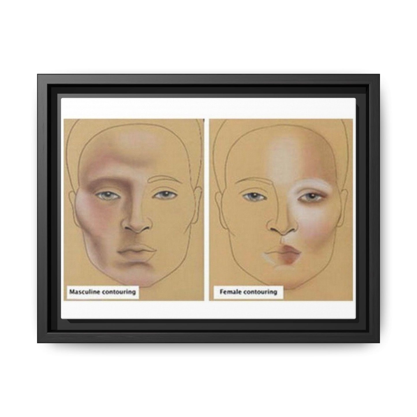 Makeup Contouring Guide Poster, Male Vs Female Contouring Vertical Poster