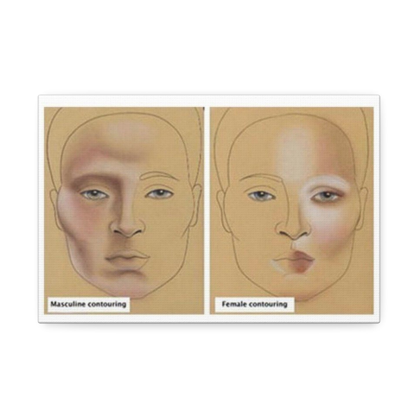 Makeup Contouring Guide Poster, Male Vs Female Contouring Vertical Poster