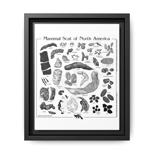 Mammal Scat Of North America Poster, North American Mammal Scat Identification Guide Horizontal Poster