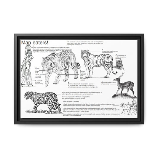 Man-Eating Big Cats Guide Poster, Causes Of Man-Eating Behavior In Big Cats Horizontal Poster