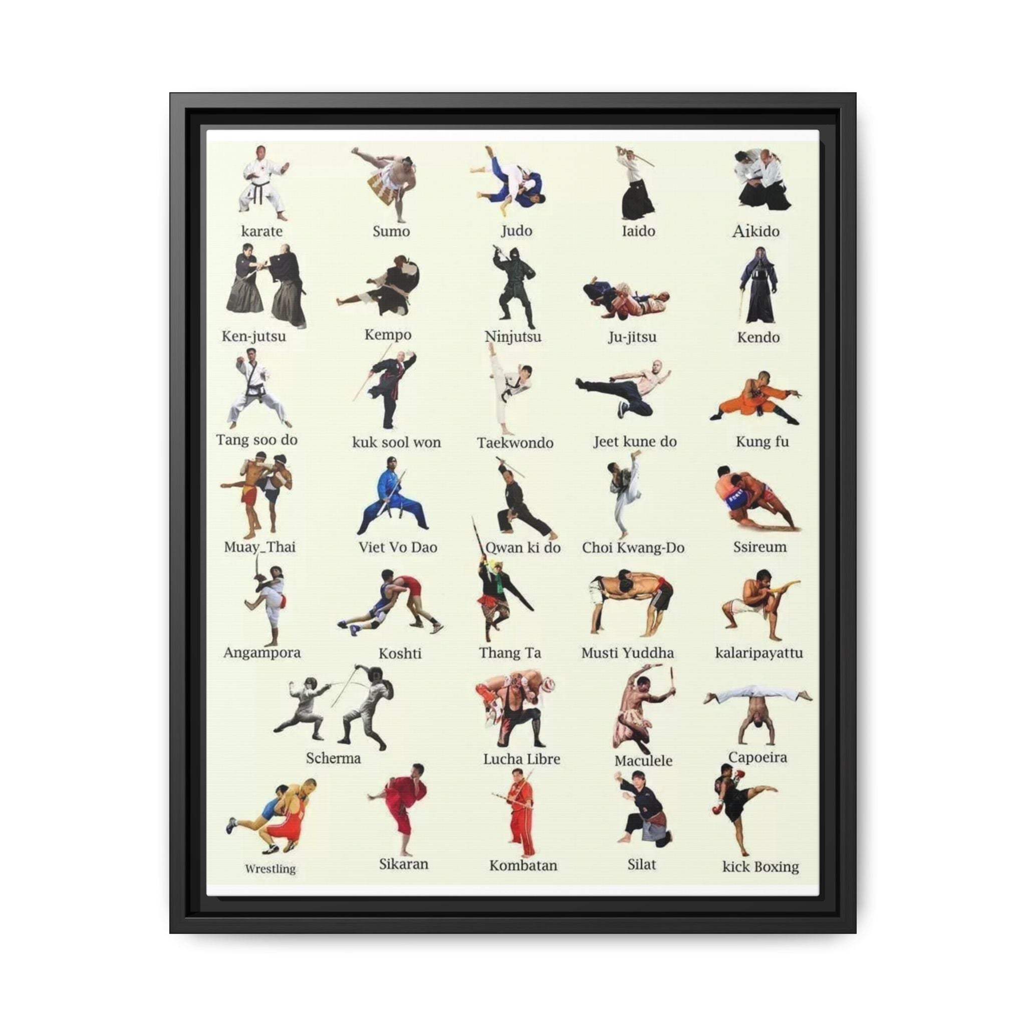 Martial Arts Poster, World Martial Arts Styles Chart, Traditional and Modern Fighting Disciplines Guide Educational Canvas Print