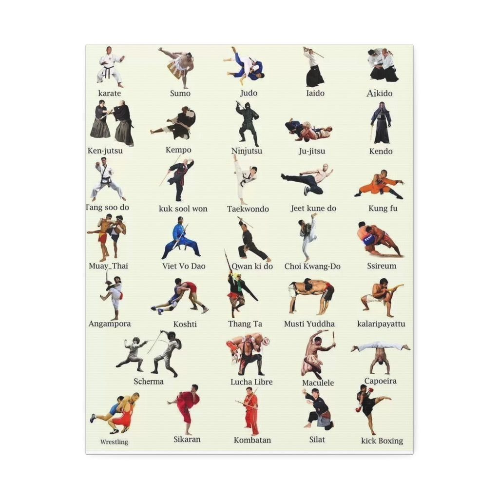 Martial Arts Poster, World Martial Arts Styles Chart, Traditional and Modern Fighting Disciplines Guide Educational Canvas Print
