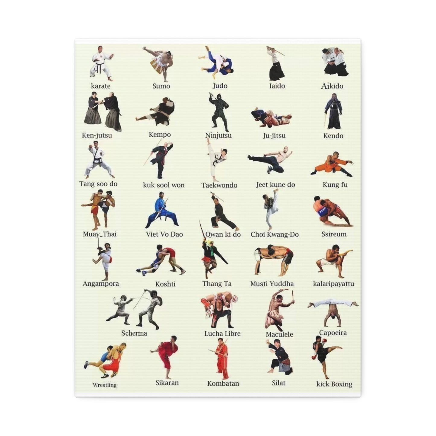 Martial Arts Styles Chart Vertical Poster