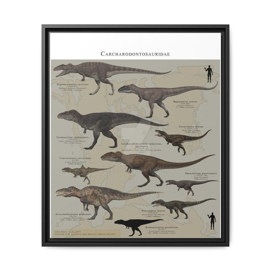North American Tyrannosaurs Poster, Tyrannosaur Species Comparison Chart, Dinosaur Educational Wall Art Canvas Print