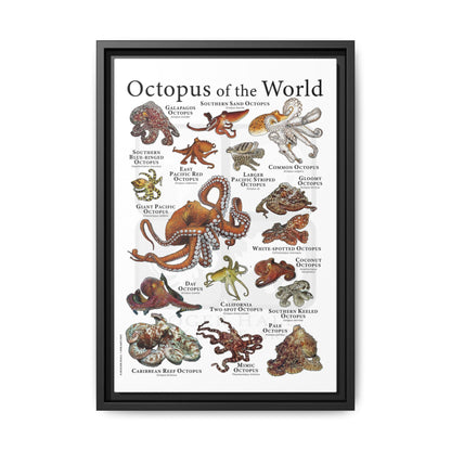Octopus Of The World Guide Poster, Different Types Of Octopus Species Vertical Poster
