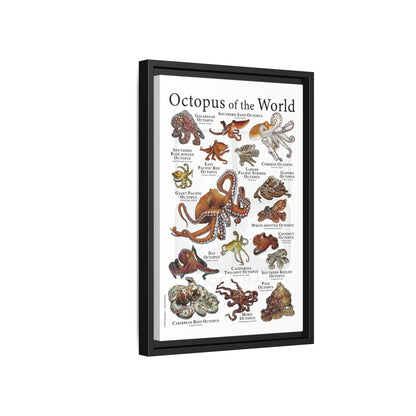 Octopus Of The World Guide Poster, Different Types Of Octopus Species Vertical Poster