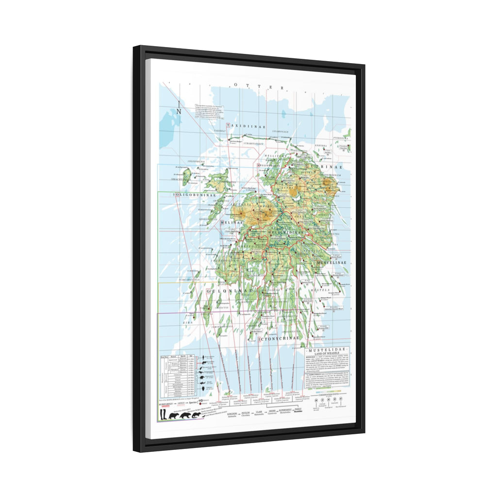 Otter Family Tree Map Poster, Otter Evolution Chart Print, Otter Species Identification Wall Art, Wildlife Gift