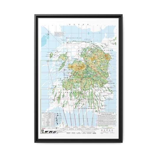 Otter Family Tree Map Poster, Otter Evolution Chart Print, Otter Species Identification Wall Art, Wildlife Gift