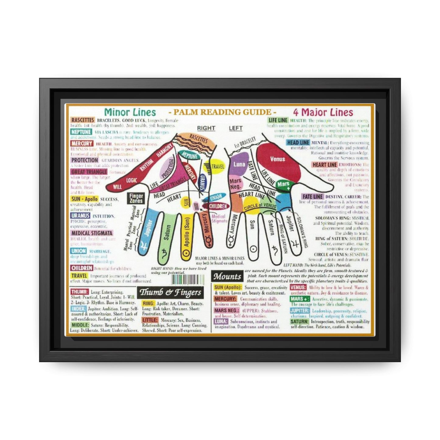 Palm Reading Guide Poster, Palmistry Hand Lines And Mounts Horizontal Poster