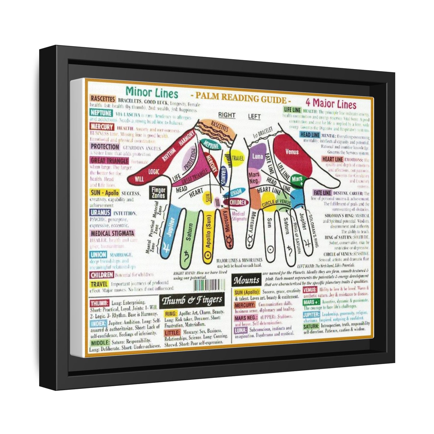 Palm Reading Guide Poster, Palmistry Hand Lines And Mounts Horizontal Poster