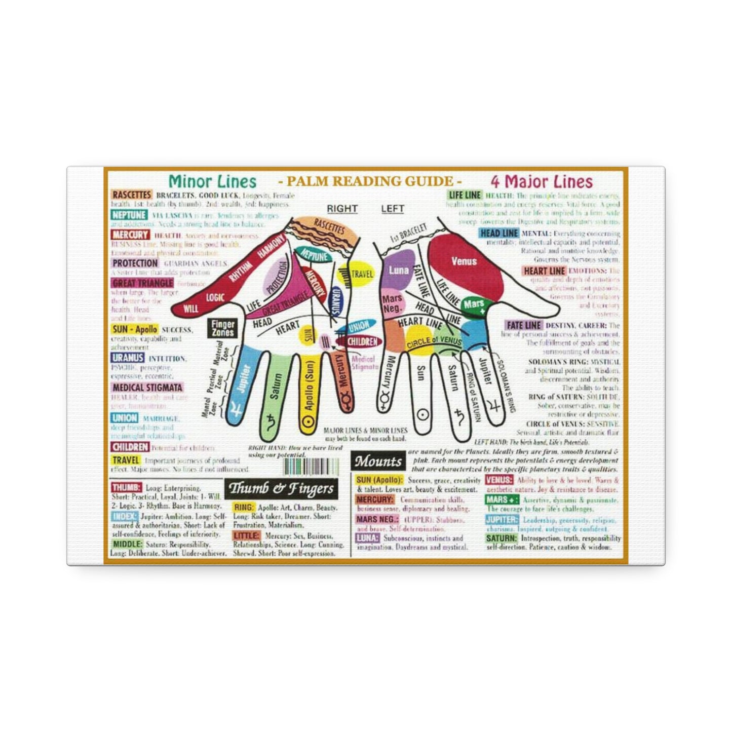 Palm Reading Guide Poster, Palmistry Hand Lines And Mounts Horizontal Poster