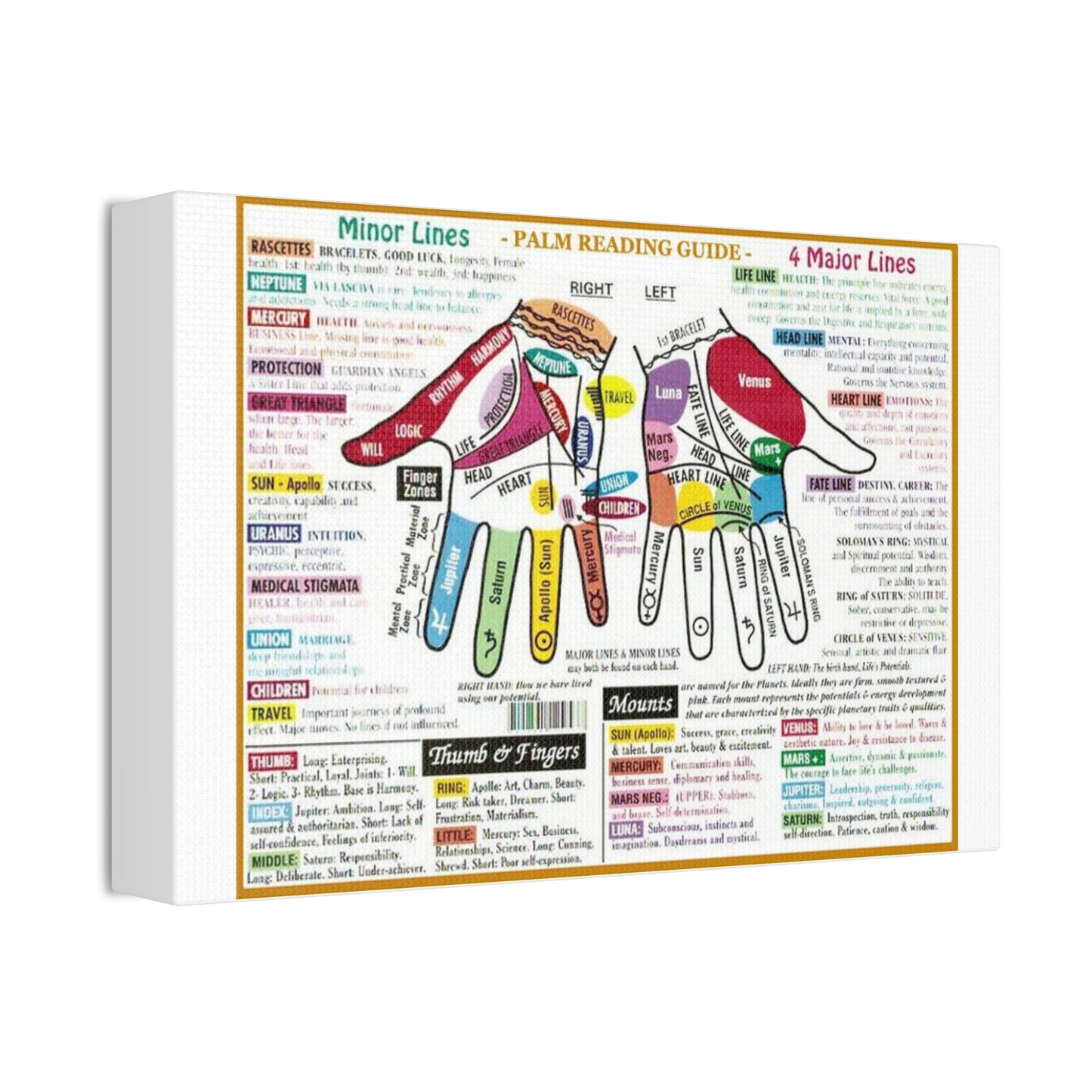 Palm Reading Guide Poster, Palmistry Hand Lines And Mounts Horizontal Poster