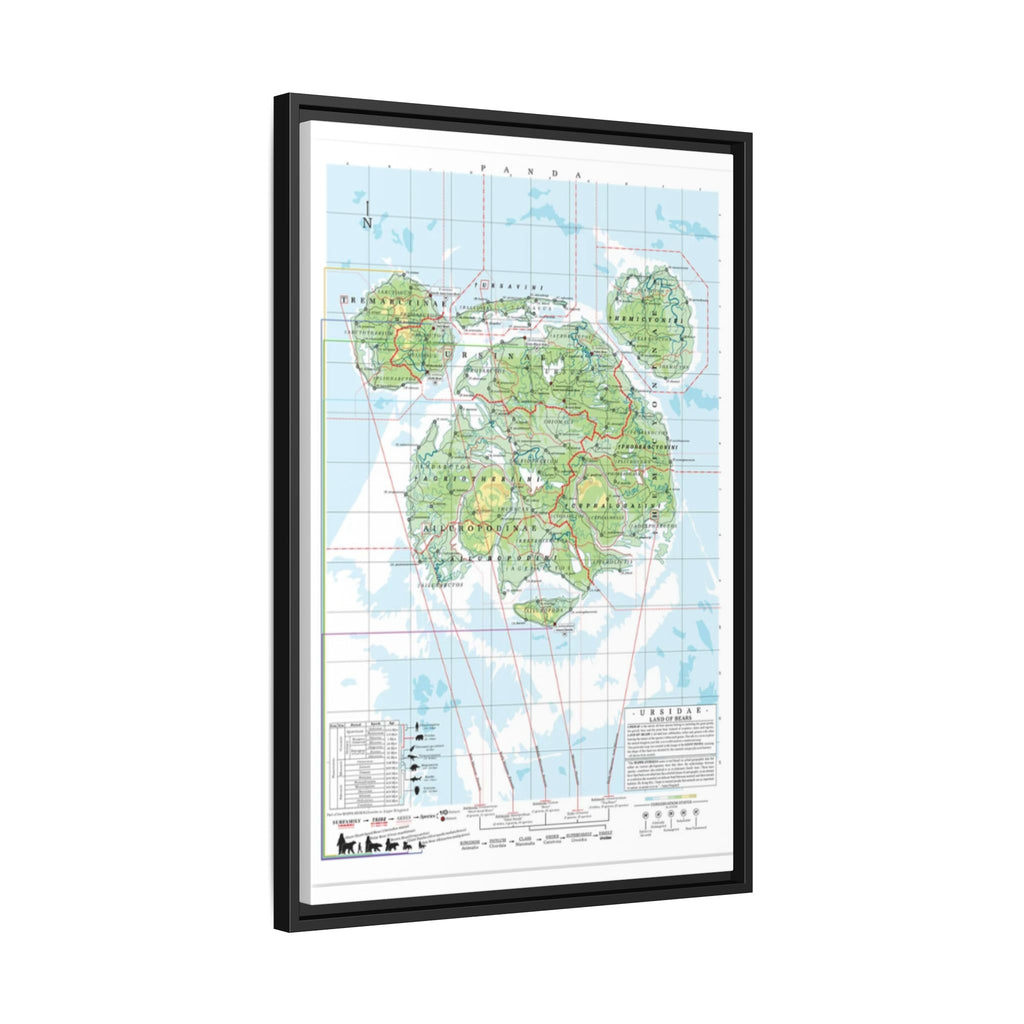 Panda Family Tree Map Poster, Ursidae Evolution Chart Print, Panda Species Identification Wall Art, Wildlife Gift