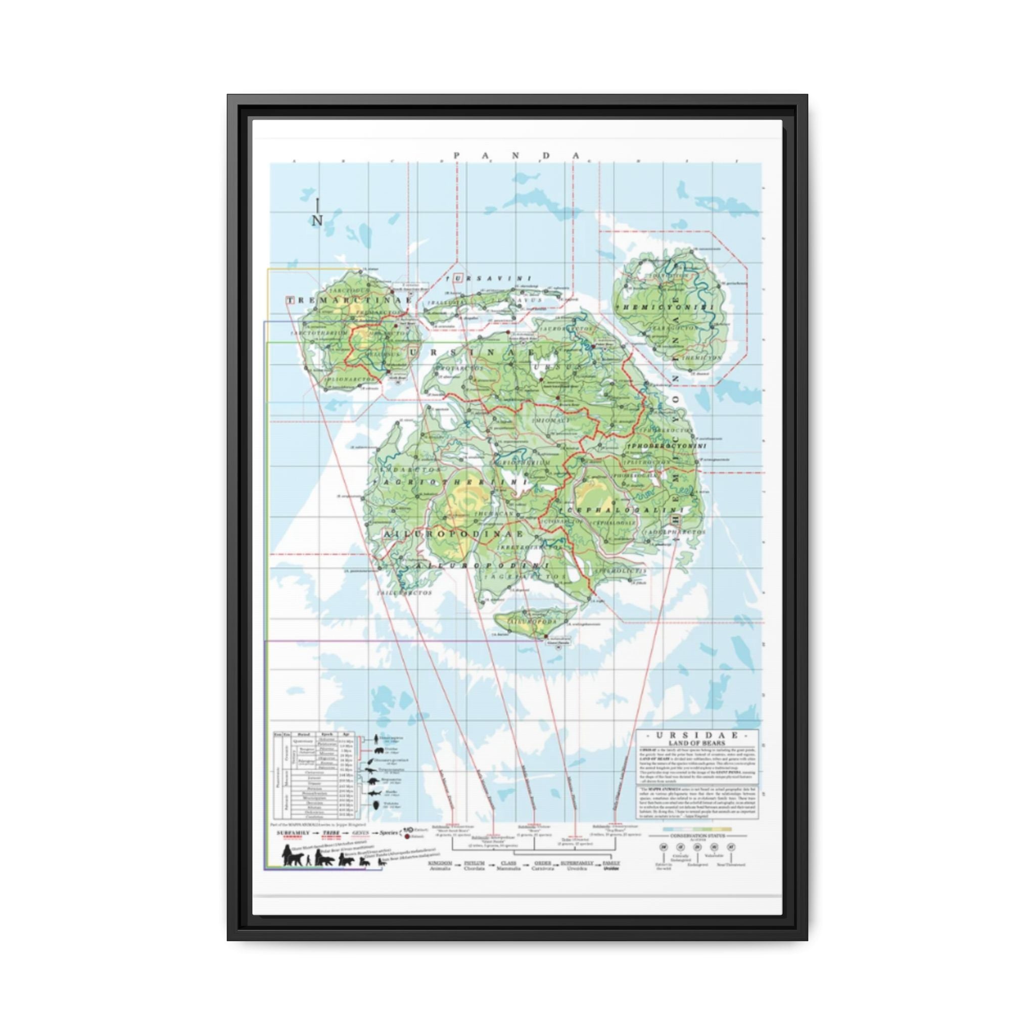 Panda Family Tree Map Poster, Ursidae Evolution Chart Print, Panda Species Identification Wall Art, Wildlife Gift