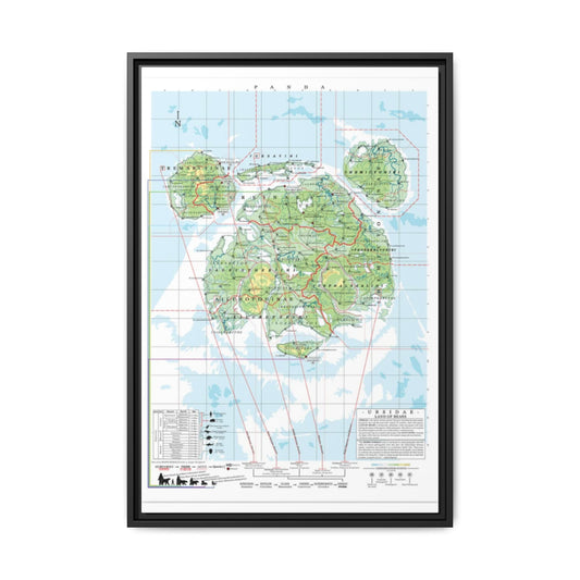 Panda Family Tree Map Poster, Ursidae Evolution Chart Print, Panda Species Identification Wall Art, Wildlife Gift