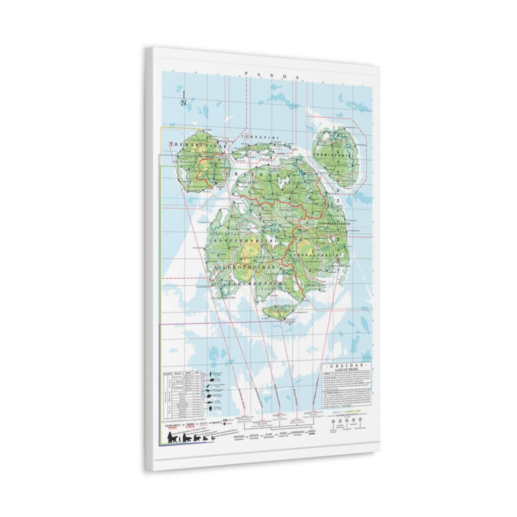 Panda Family Tree Map Poster, Ursidae Evolution Chart Print, Panda Species Identification Wall Art, Wildlife Gift