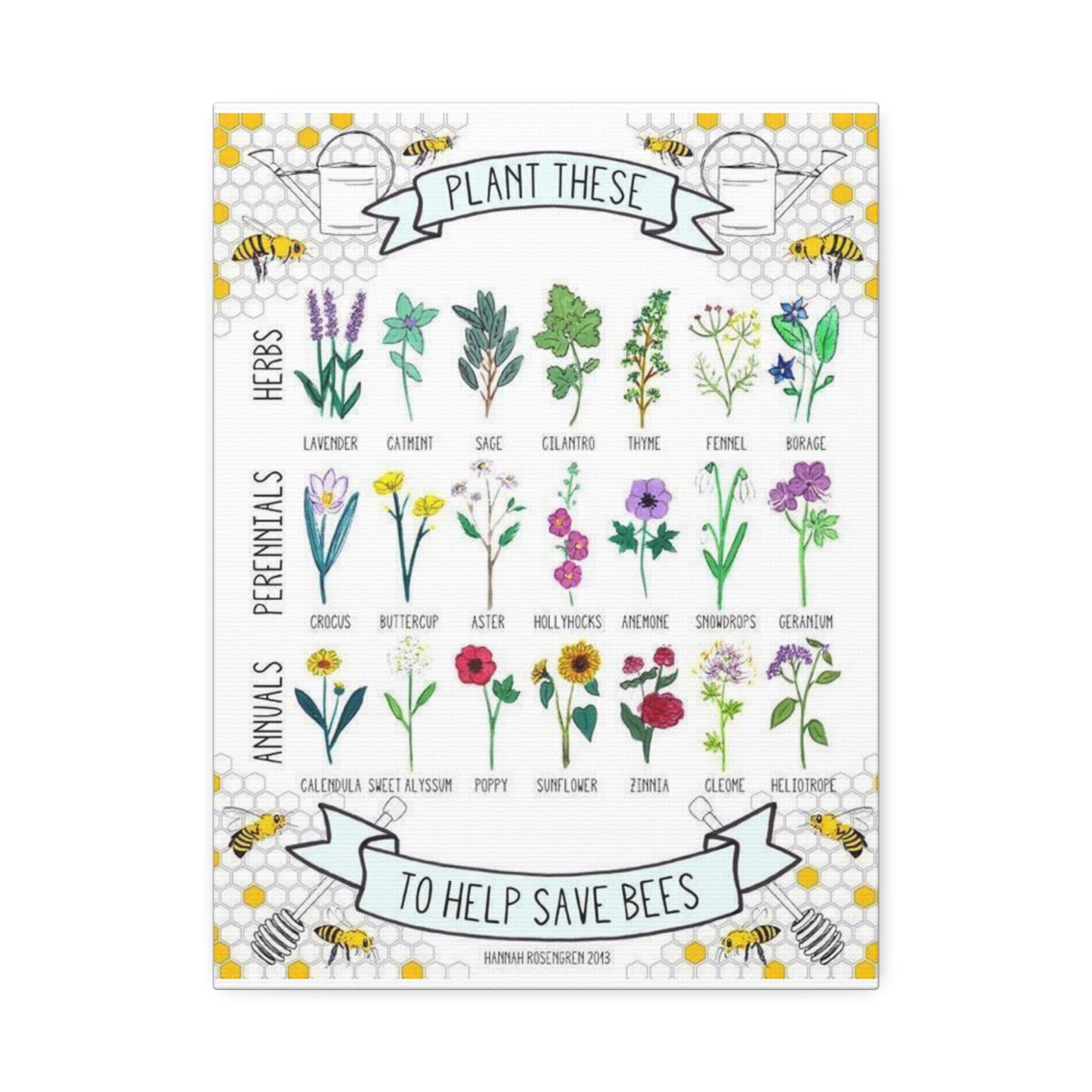 Plants To Help Save Bees Species Identification Poster, Garden Guide Vertical Poster