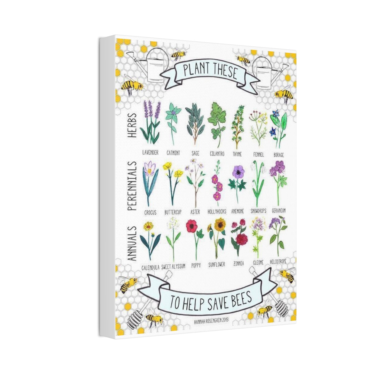 Plants To Help Save Bees Species Identification Poster, Garden Guide Vertical Poster