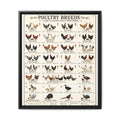 Poultry Breeds Poster, Chicken Duck Turkey Breed Identification Chart, Farm Poultry Guide, Homesteading Educational Canvas Print
