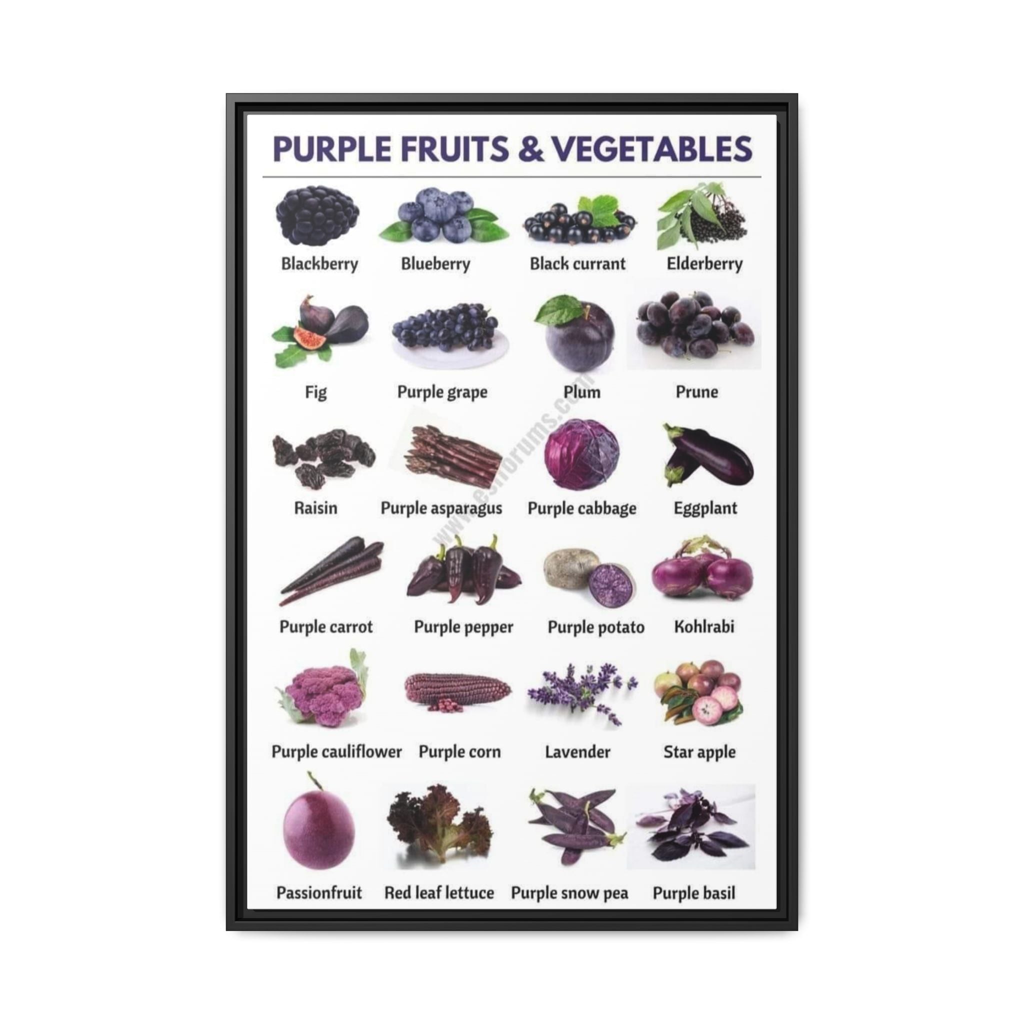 Purple Fruits & Vegetables Vertical Poster and Canvas