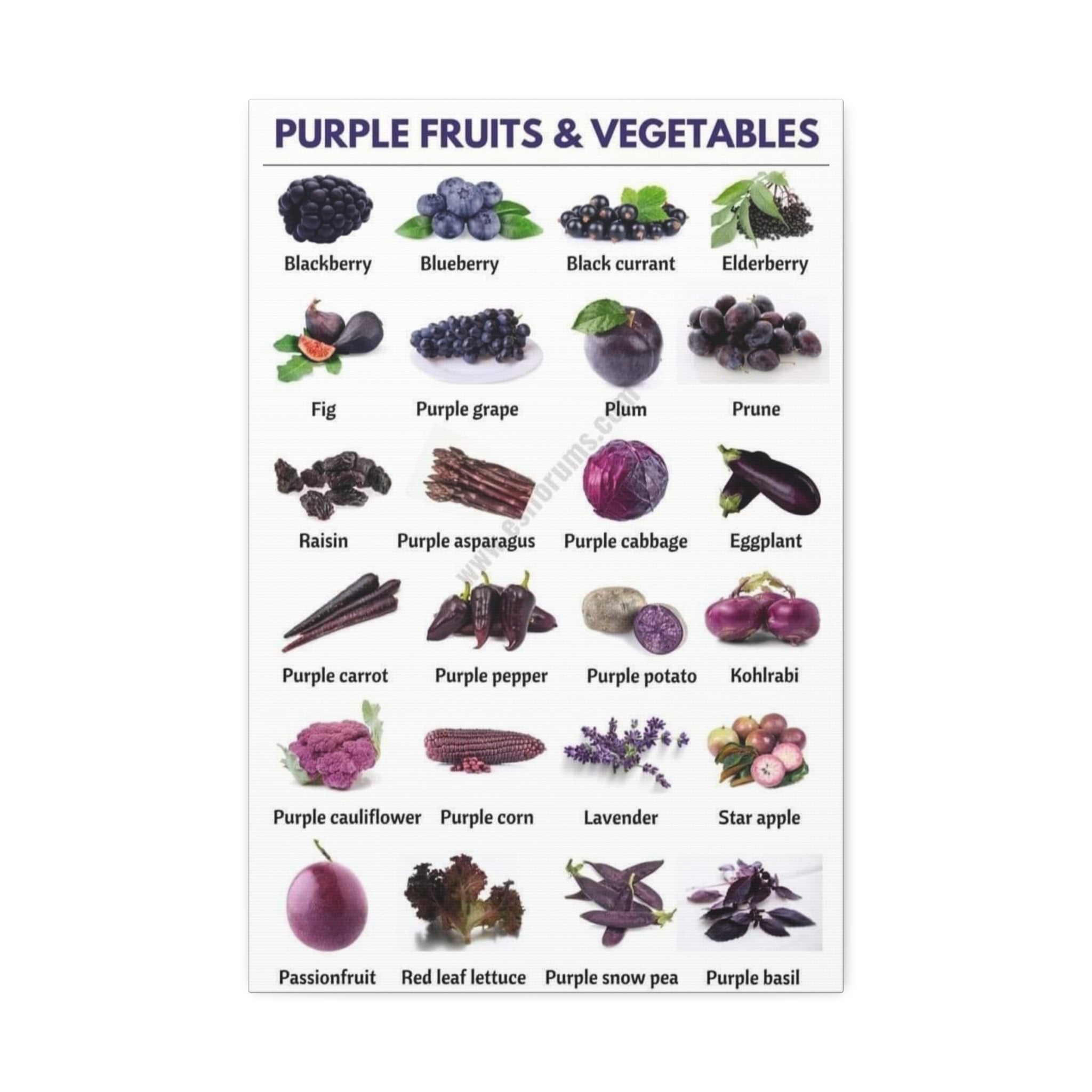 Purple Fruits & Vegetables Vertical Poster and Canvas