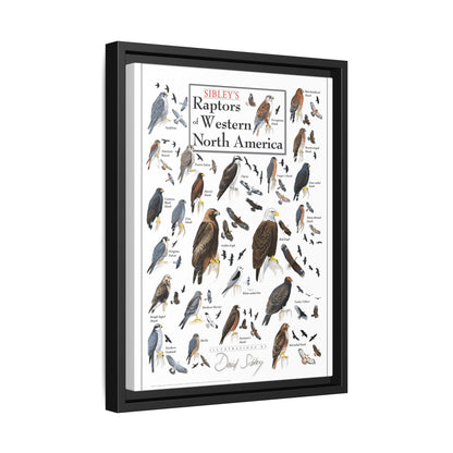 Raptors Of Western North America Poster, Birds Of Prey Species Chart Vertical Poster