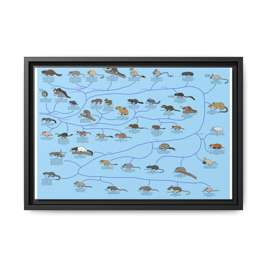 Rodents of the World Poster, Rodent Species Classification Chart, Educational Wildlife Wall Art Canvas Print