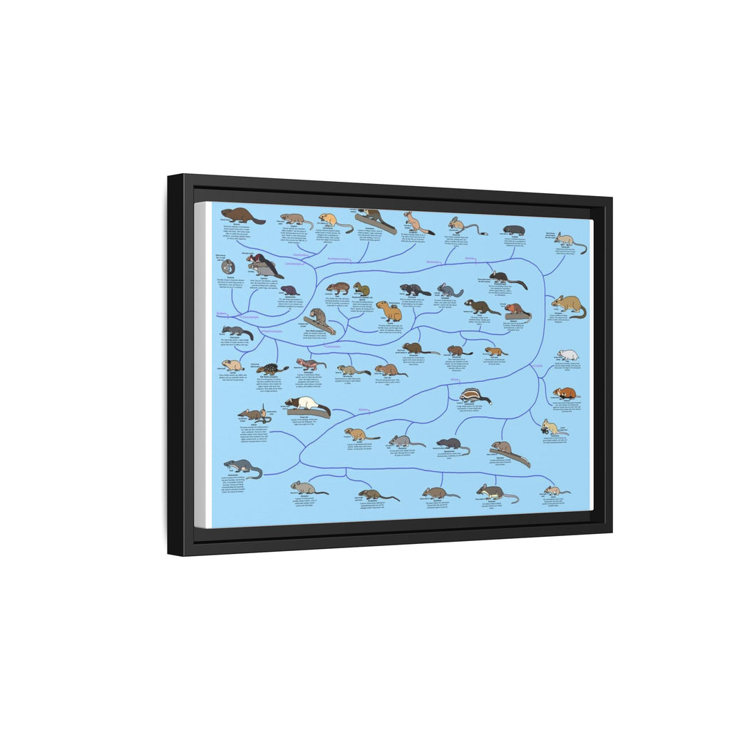 Rodents of the World Poster, Rodent Species Classification Chart, Educational Wildlife Wall Art Canvas Print