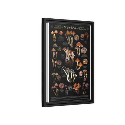Sacred Mushrooms Of Mexico Guide Poster, Psilocybe Species Identification Vertical Poster