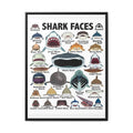 Shark Faces Poster, Illustrated Shark Species Identification Chart, Marine Life Wall Art Canvas Print
