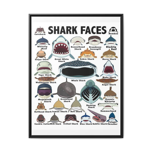 Shark Faces Poster, Illustrated Shark Species Identification Chart, Marine Life Wall Art Canvas Print