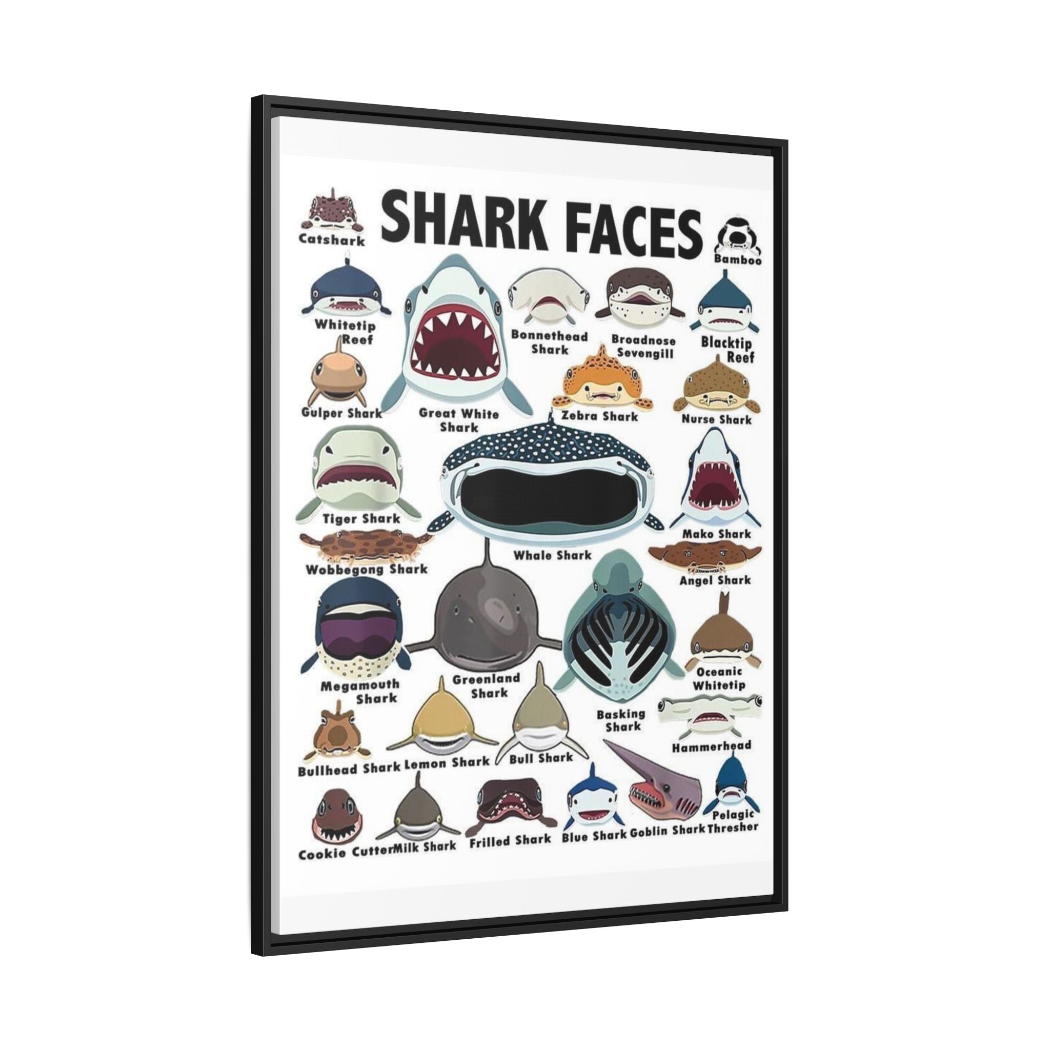 Shark Faces Poster, Illustrated Shark Species Identification Chart, Marine Life Wall Art Canvas Print
