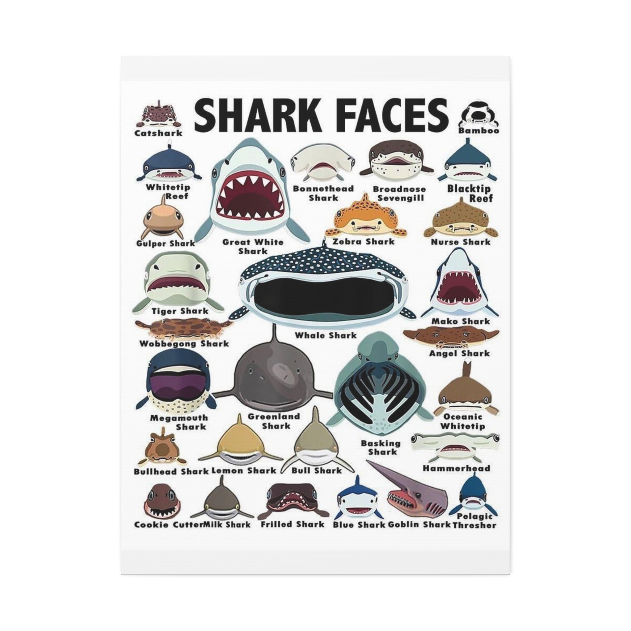 Shark Faces Poster, Illustrated Shark Species Identification Chart, Marine Life Wall Art Canvas Print