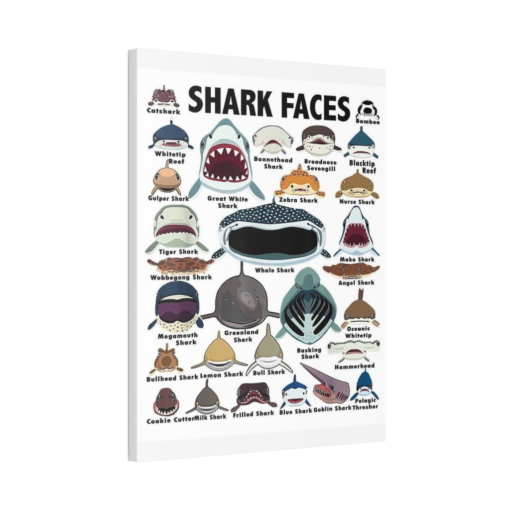 Shark Faces Poster, Illustrated Shark Species Identification Chart, Marine Life Wall Art Canvas Print