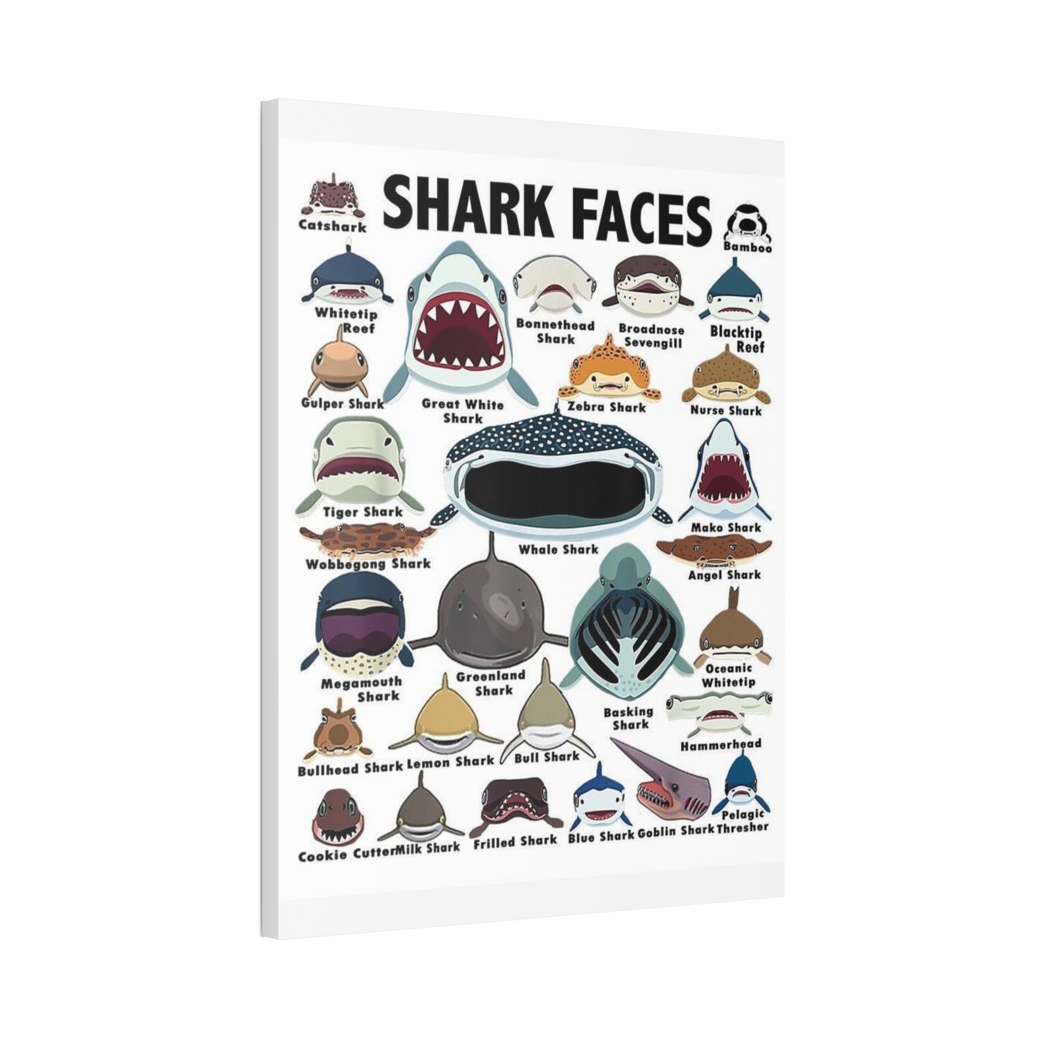 Shark Faces Poster, Illustrated Shark Species Identification Chart, Marine Life Wall Art Canvas Print